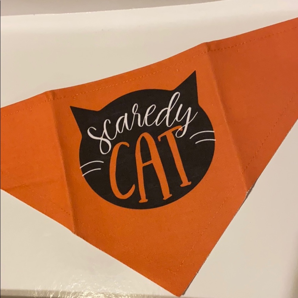 Mudpie Halloween Dog Bandana